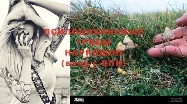 дистиллят марихуана Приозерск